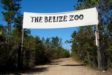 The Belize Zoo
