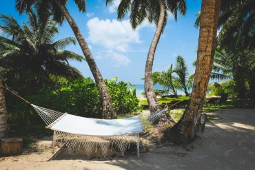 A hammock hanging on 2 trees on a beach