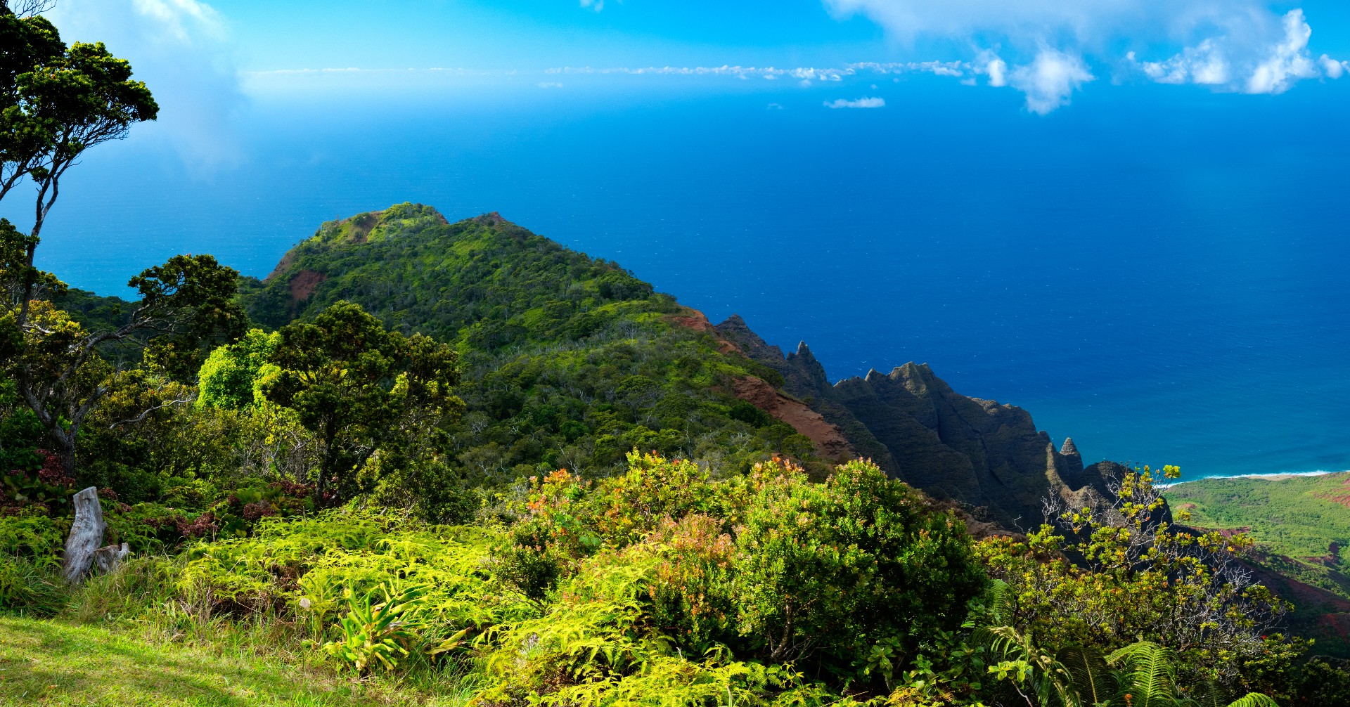Hawaii Panorama of the Ocean in Kauai