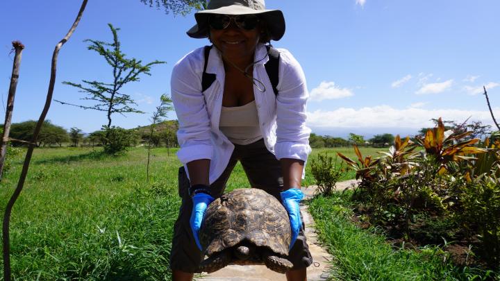 A woman in gloves holding a tortoise 