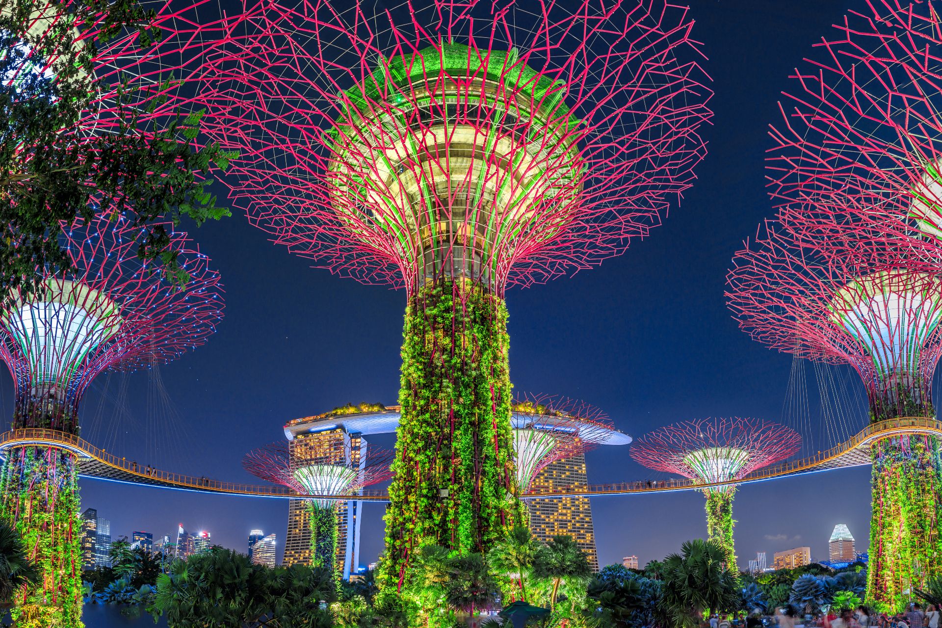 Panorama of the Supertree Grove with colorful lighting at blue hour in Singapore, Southeast Asia. Popular tourist attraction in marina bay area.
