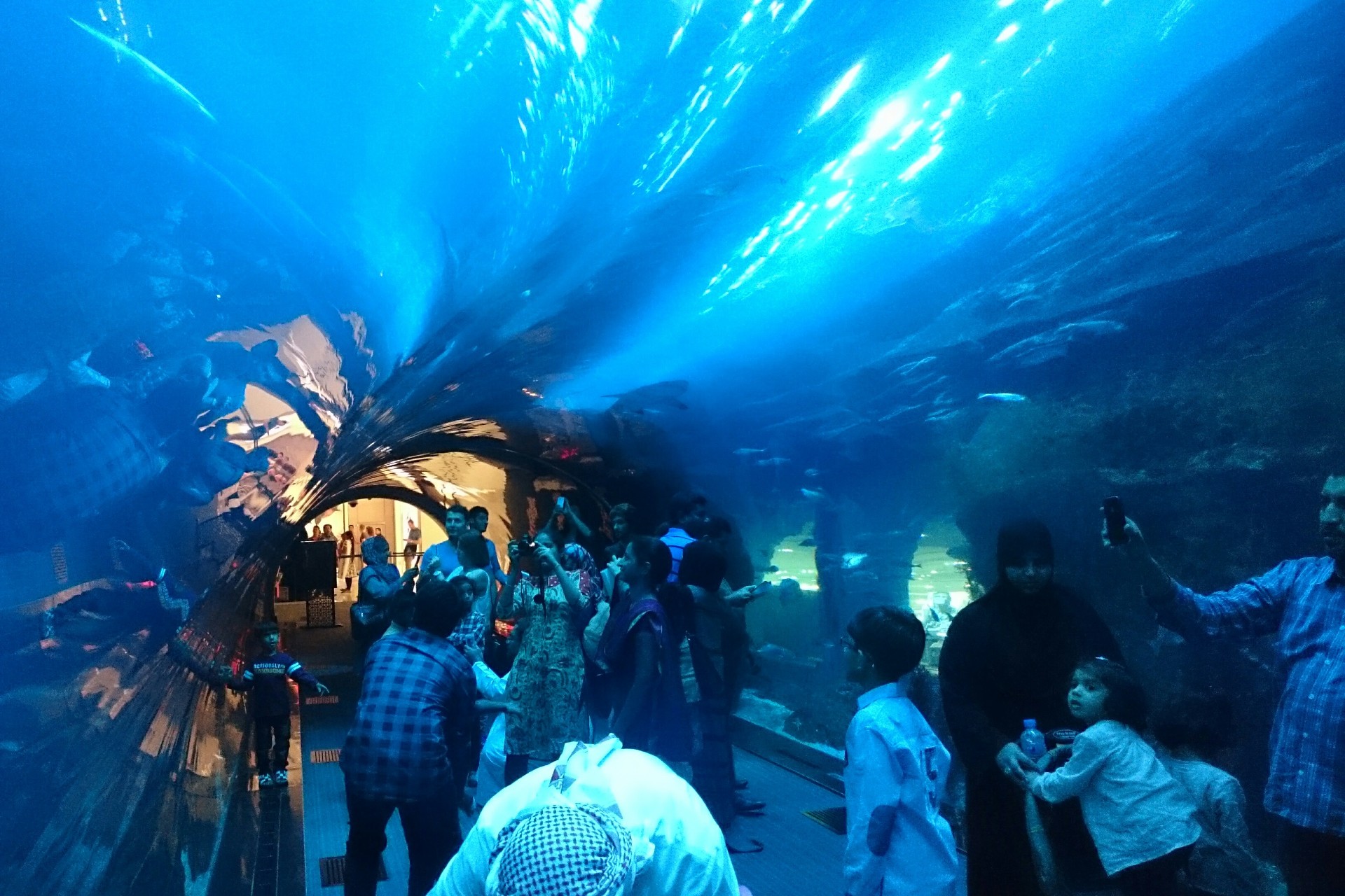 People In Dubai Aquarium And Underwater Zoo