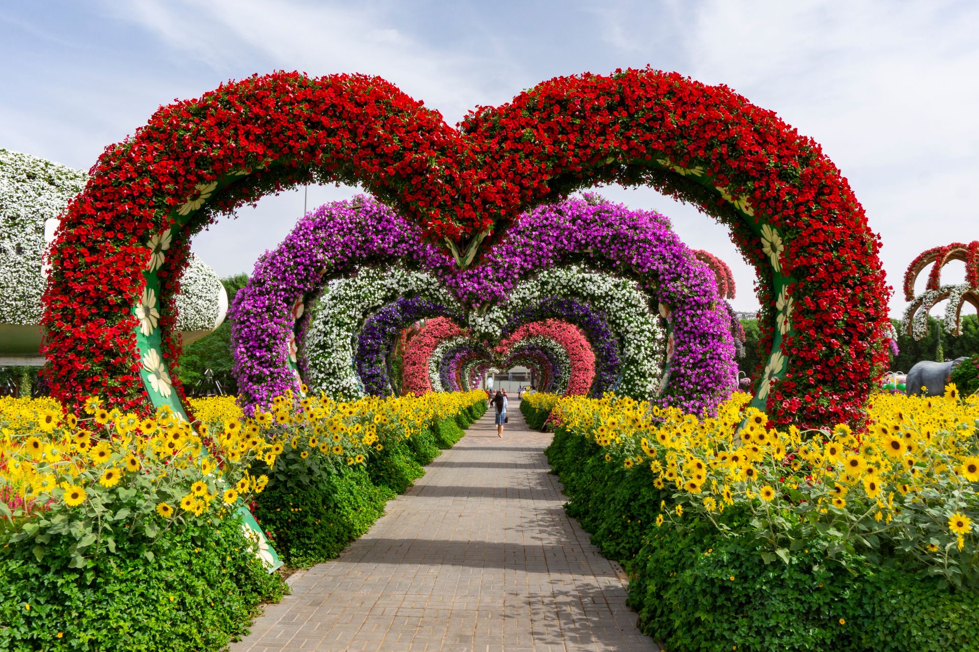 Colorful heart shaped flowers alley in Dubai Miracle Garden