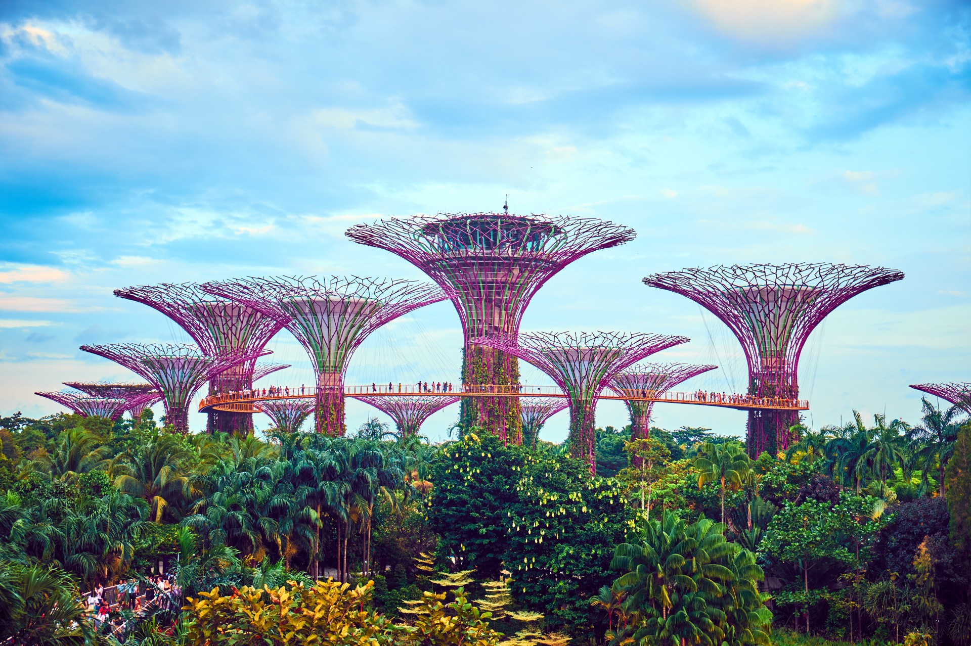 A picture of the gardens by the bay