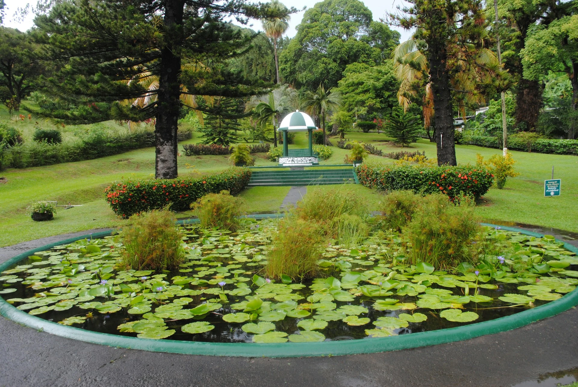 Botanical Gardens in Kingstown, St. Vincent and the Grenadines