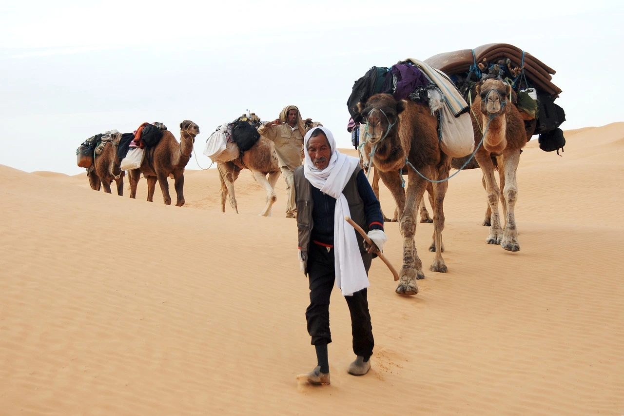 Sahara Desert near Douz, Tunisia