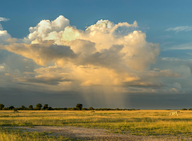 cloudy_view