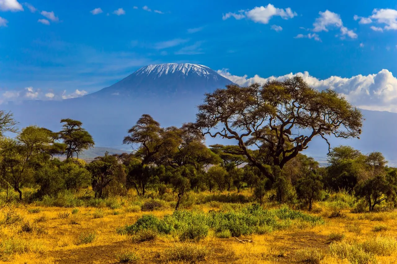 Kilimanjaro Tanzania landscape