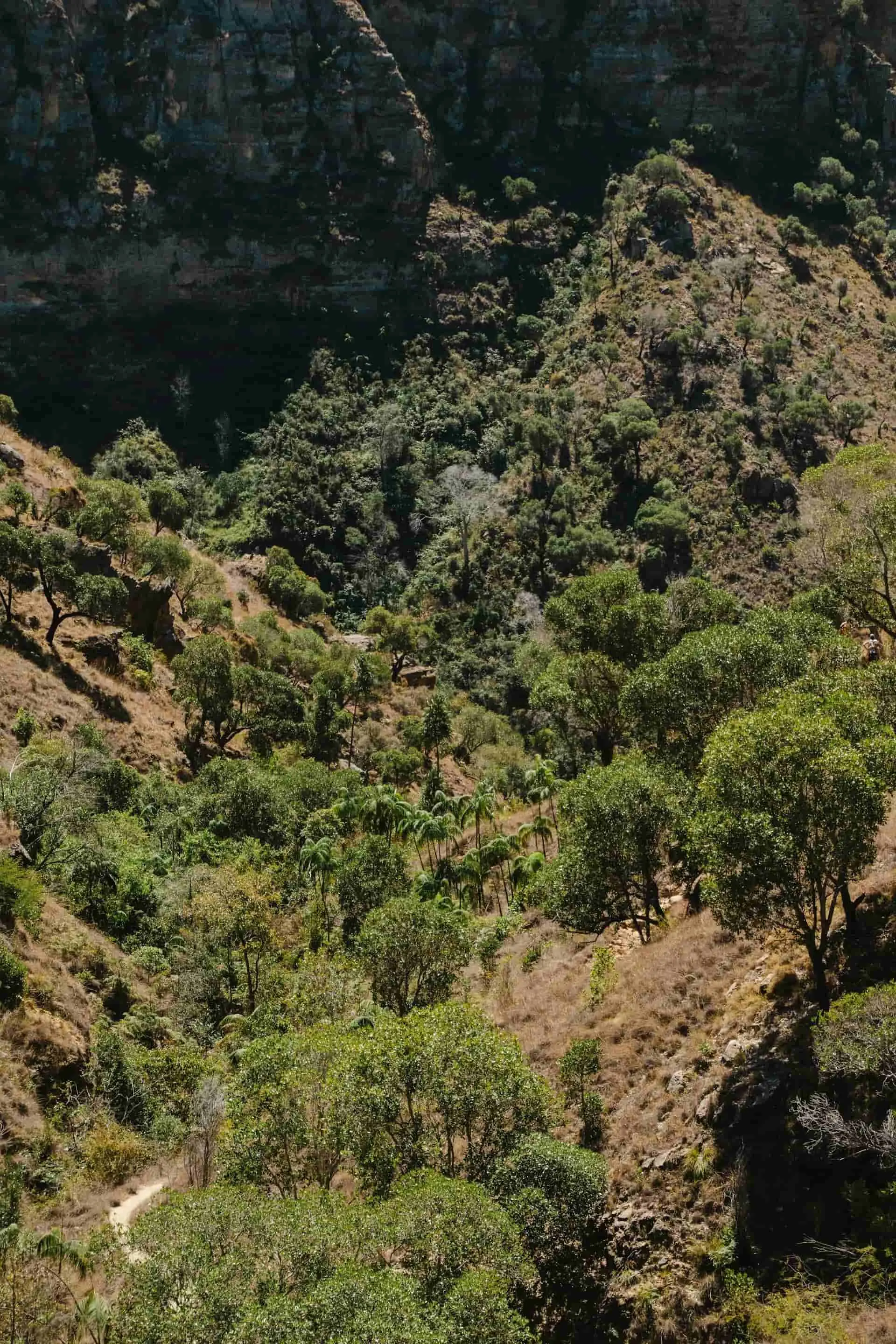 Avenue of the Baobabs in Western Madagascar for a destination guide