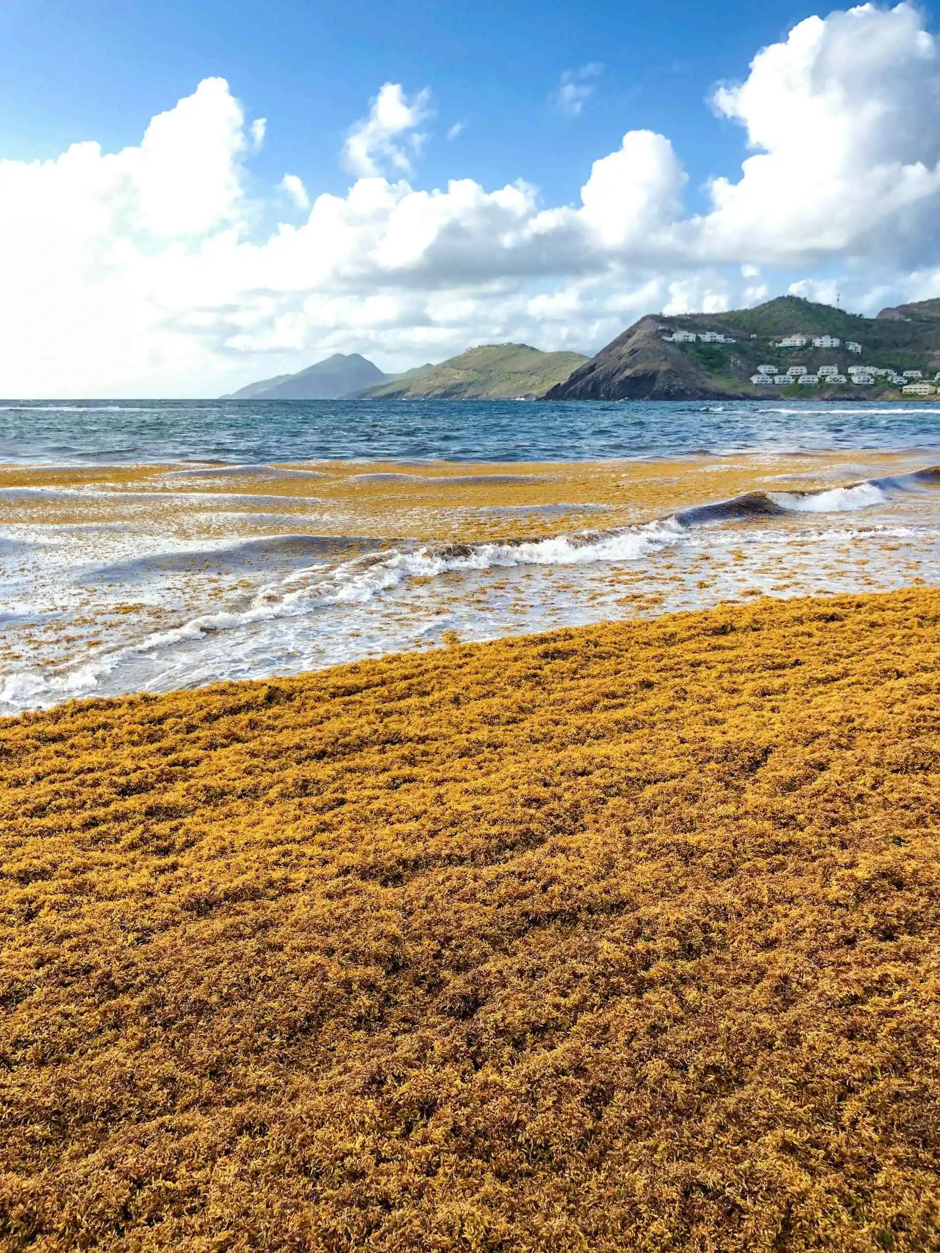 Beach on the island of St. Kitts