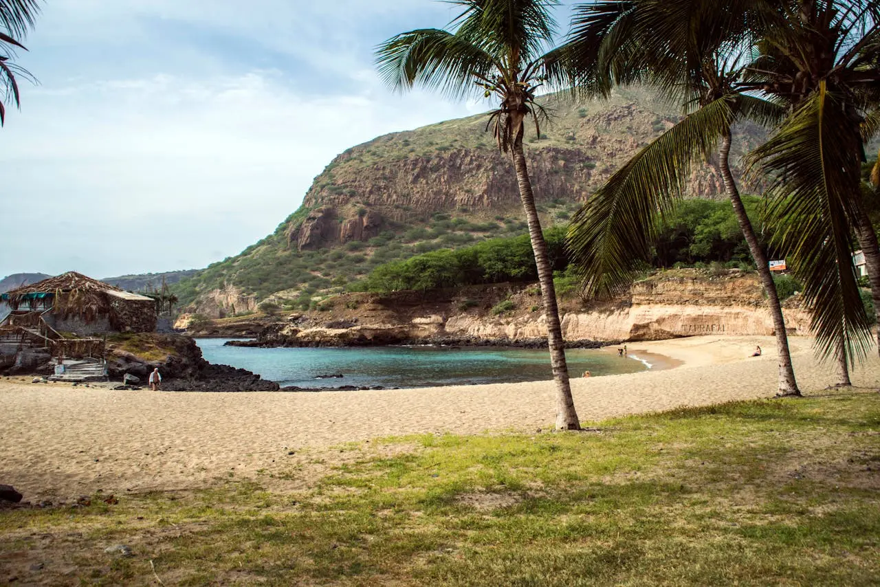 Beach with palm trees