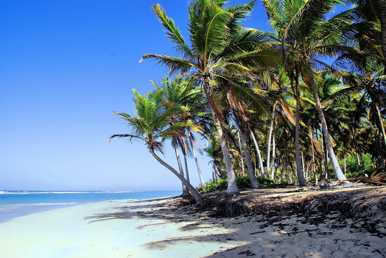 Beach in Punta Cana for a destination guide