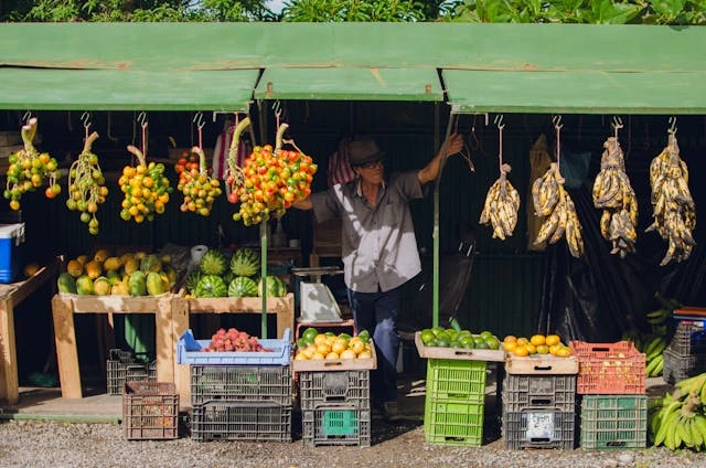 Costarica Market during a cultural journey