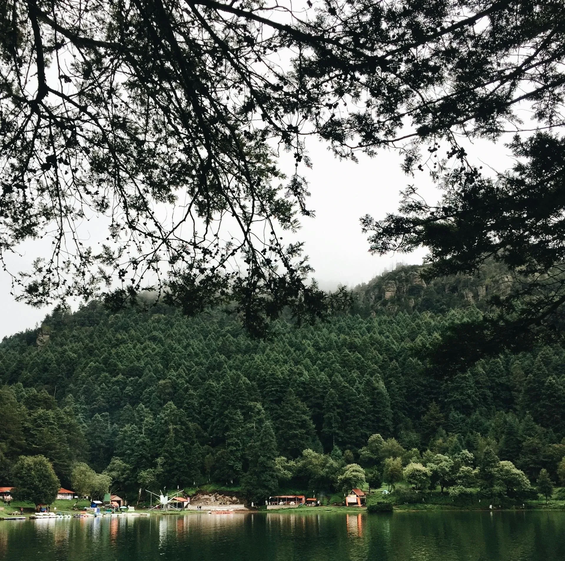 El Cedral Festival of Faith and Freedom for a destination guide