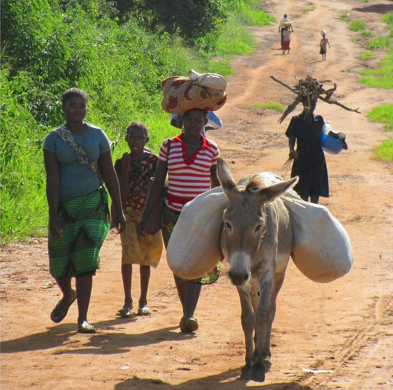 A group of women and children walk on a dirt road in Mozambique featured