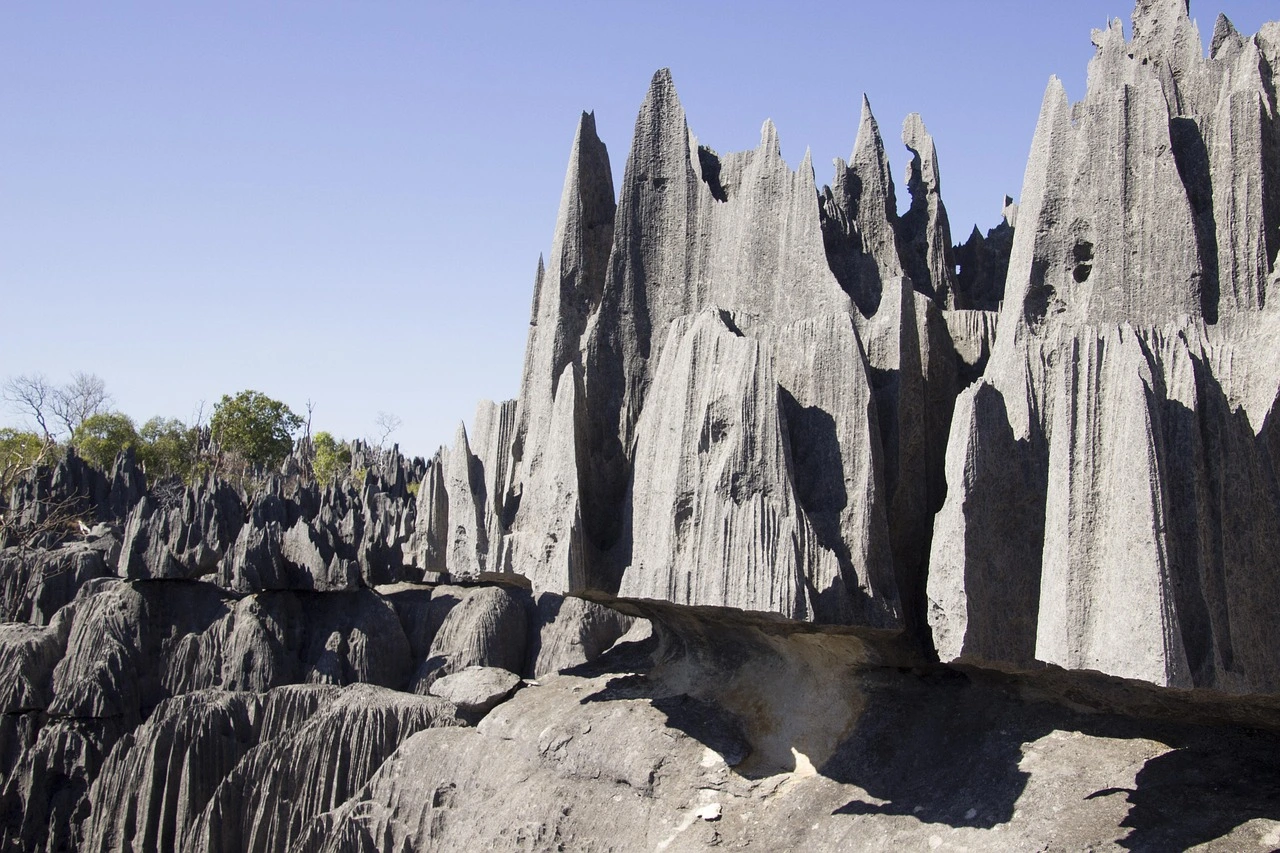 Jagged limestone formations at Tsingy de Bemaraha National Park for a destination guide