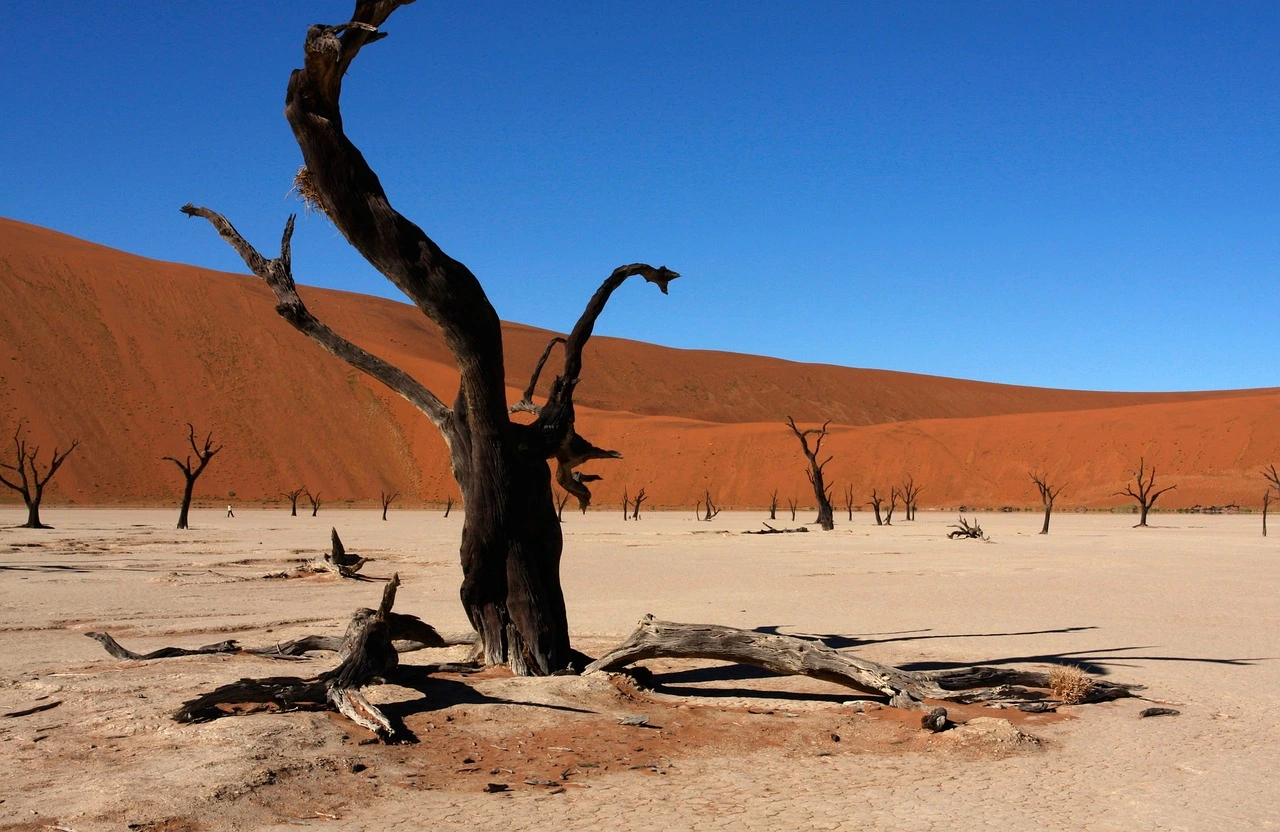 A landscape photo of Deadvlei in Namibia for a destination guide