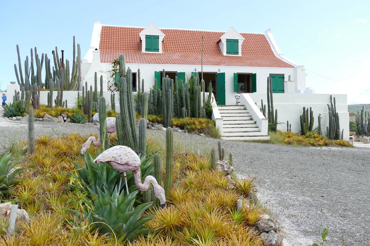 LionsDive Beach Resort in CuraAAAAao featured