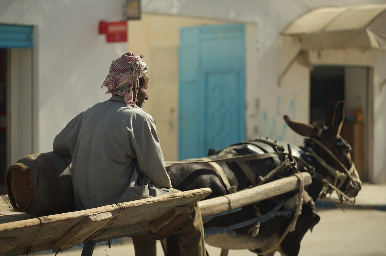 A man sits on a wooden cart pulled by a donkey on a street in Tunisia featured