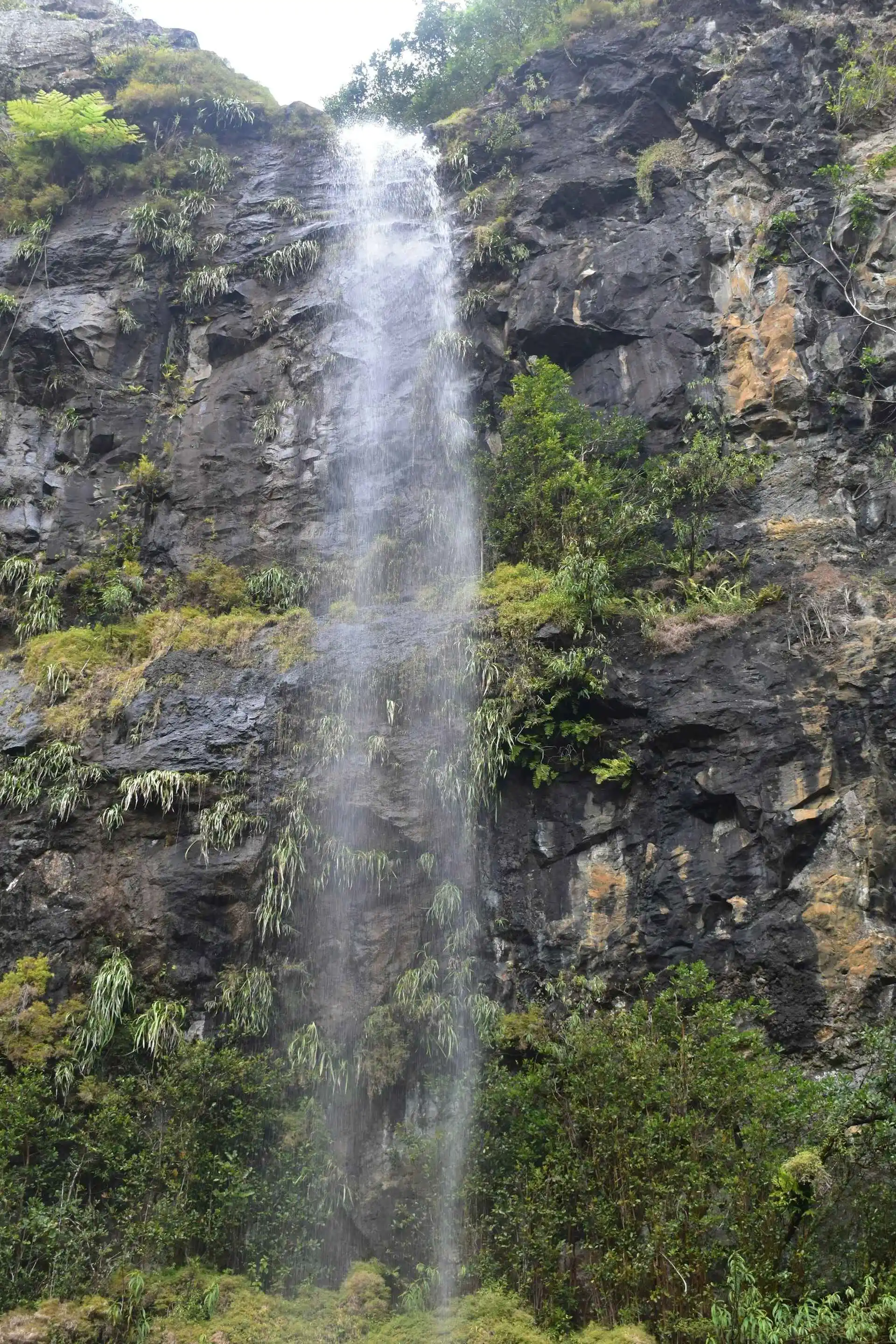 Mare aux Joncs Waterfall in Mauritius for a destination guide