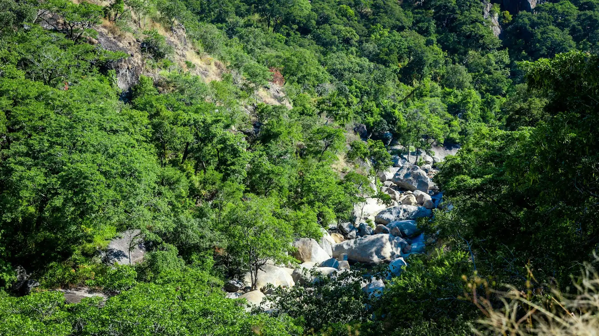 Nyika National Park for a destination guide