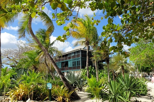 Pedro St. James Castle for a destination guide