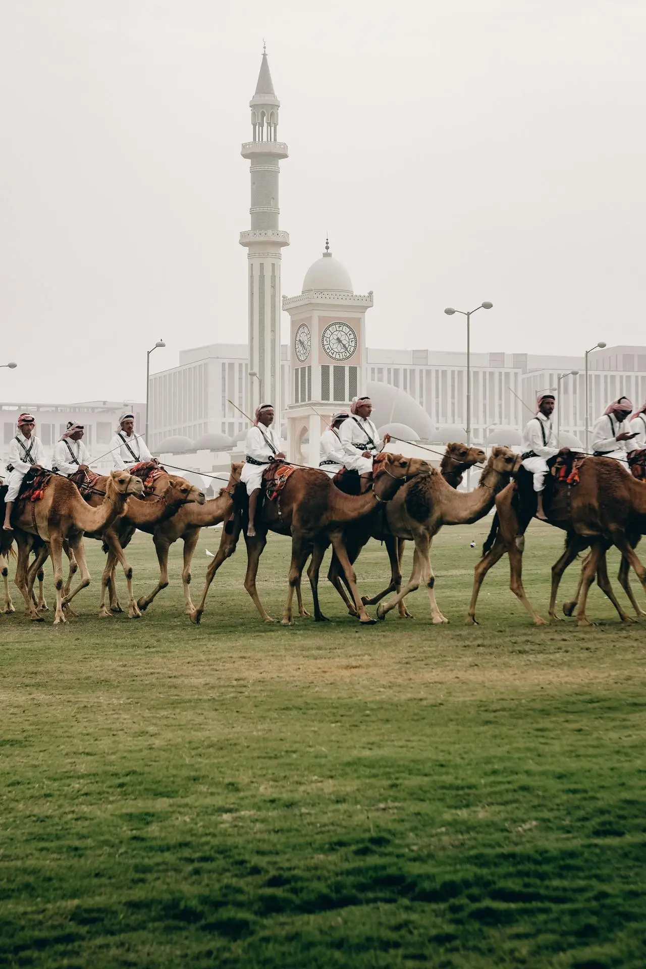 People horses qatar