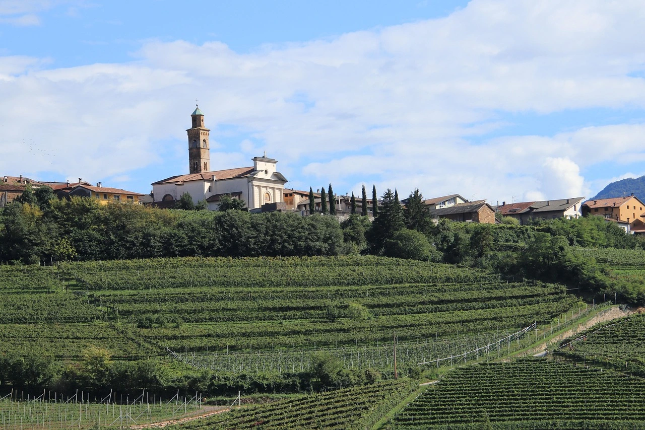 The Piedmont region of Italy featured