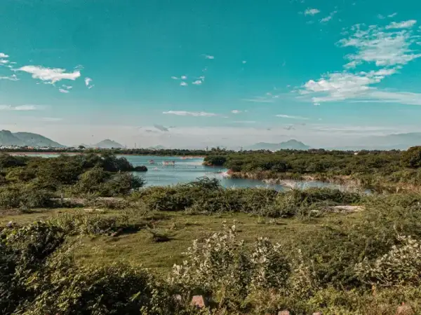 Gemini said A serene landscape featuring a calm body of water surrounded by lush green shrubbery and distant mountains under a vibrant teal sky.