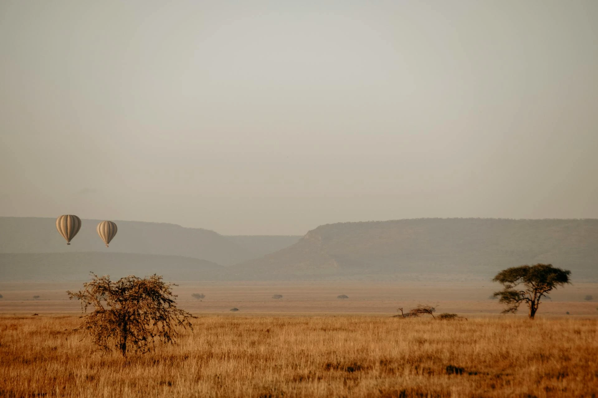 Serengeti Tanzania for a destination guide