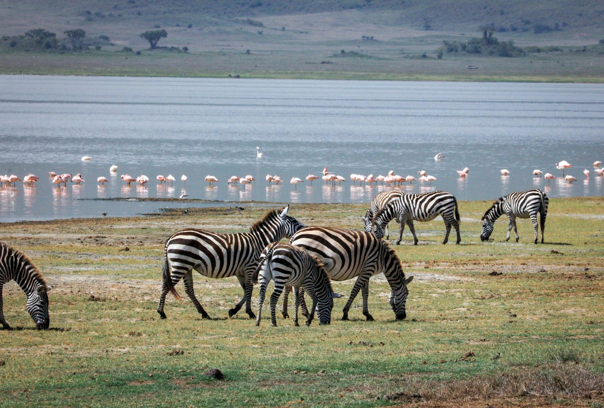 Tanzania Lake for a destination guide