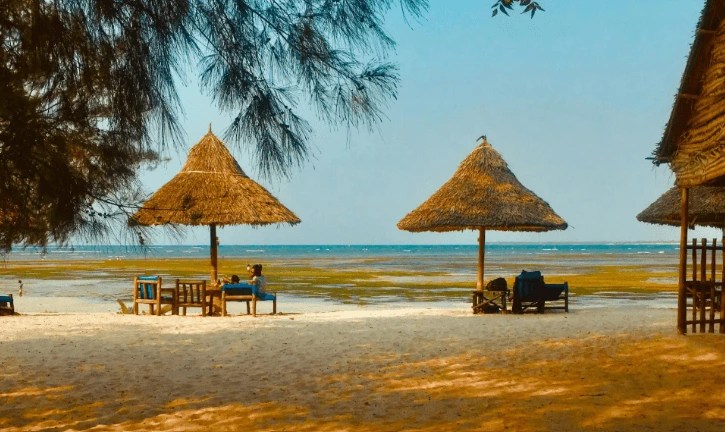 Travel Why visit Kilimanjaro Tanzania