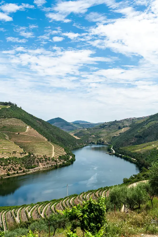 Aerial view of a river cruise route winding through terraced Douro Valley vineyards under a partly cloudy sky.