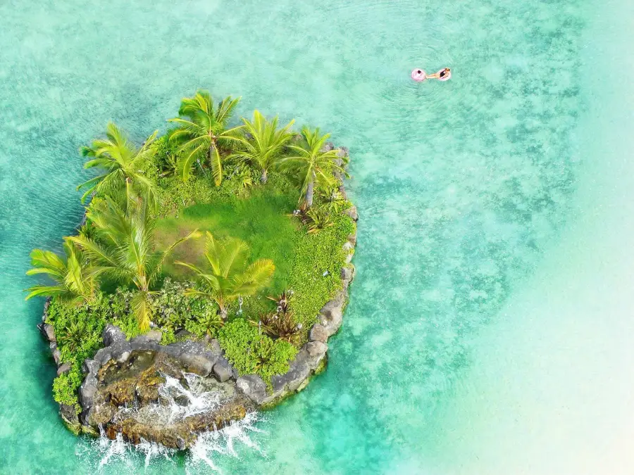 Aerial view of a lush green islet with palm trees in turquoise waters near Honolulu Hawaii with swimmers floating nearby