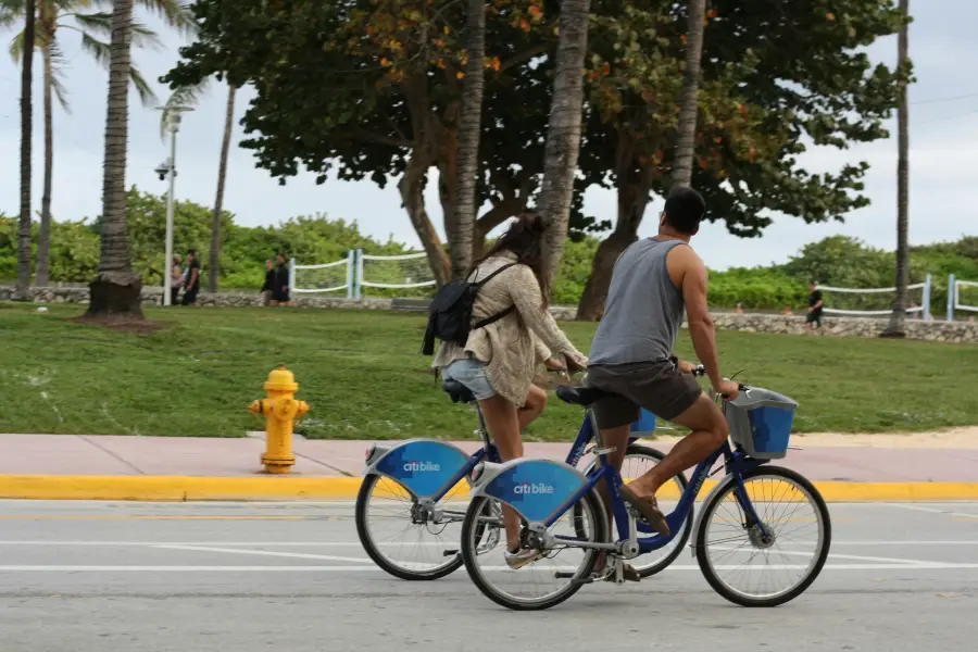 Couple riding Citi Bike rental bicycles along a palm-lined street in Miami; Florida on a cloudy day.