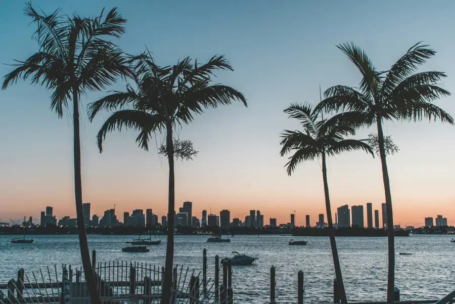 Palm trees silhouetted against a warm sunset over Biscayne Bay with the Miami; Florida skyline in the background.