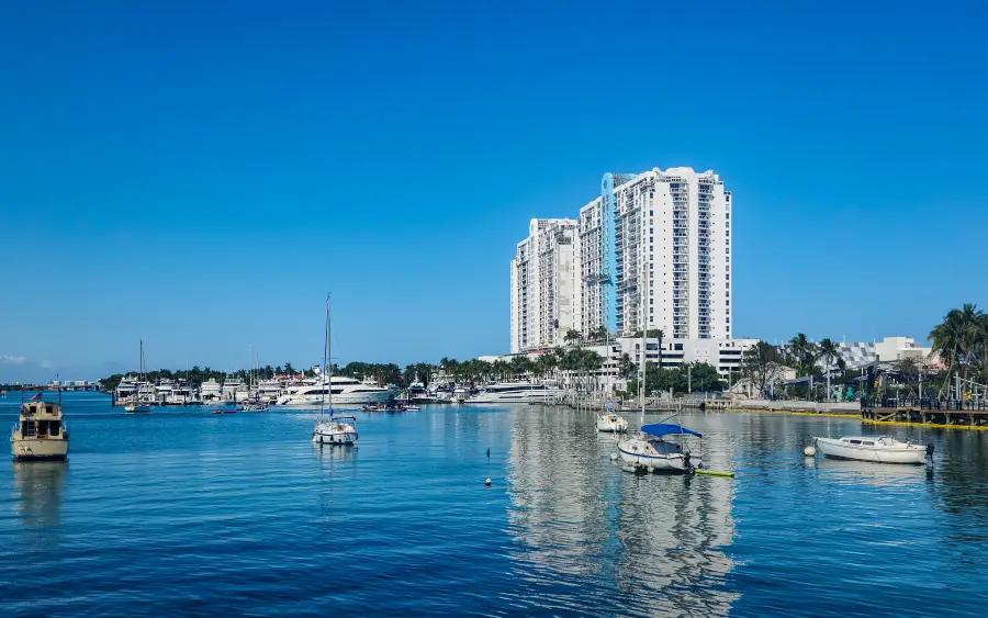 Miami Florida marina with sailboats and yachts anchored on calm blue water; luxury high-rise condominiums and palm trees i...