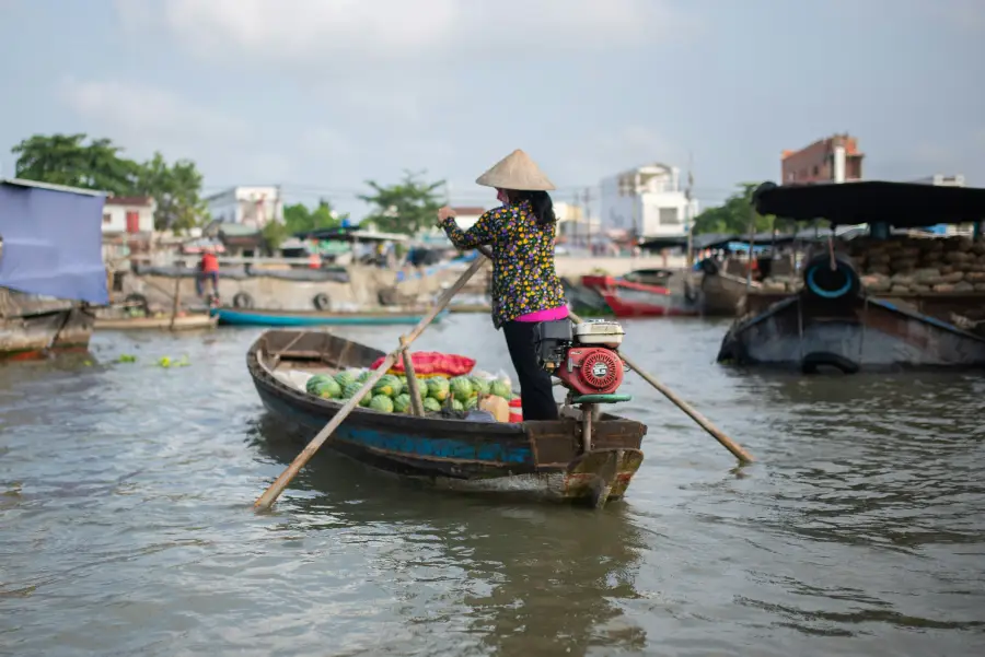 Woman in conical hat rowing a wooden boat loaded with watermelons on a river cruise through a Vietnamese floating market.