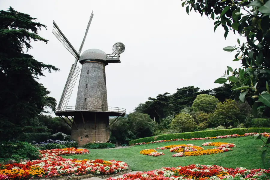 Dutch windmill surrounded by colorful flower gardens in Golden Gate Park; San Francisco; CA; under an overcast sky.