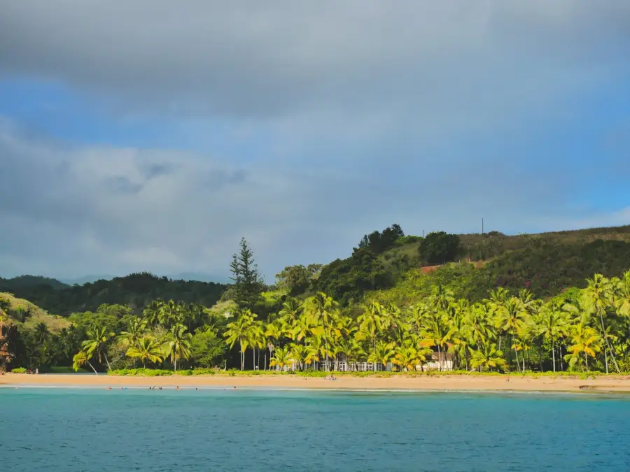Turquoise water meets a golden palm-lined beach below lush tropical hills in the South Pacific.
