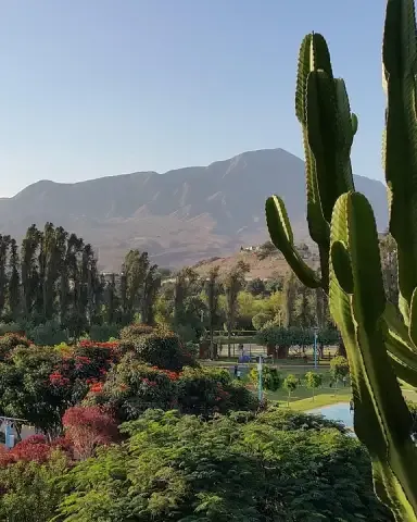 Mariscal Nieto Province, Peru