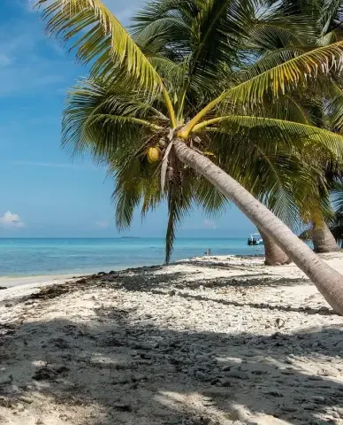 Beach in Belize featured