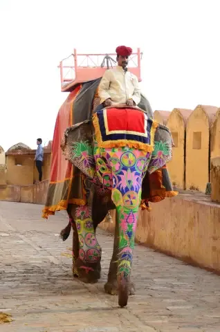 Man on elephant