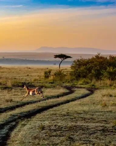 Nairobi Kenya featured