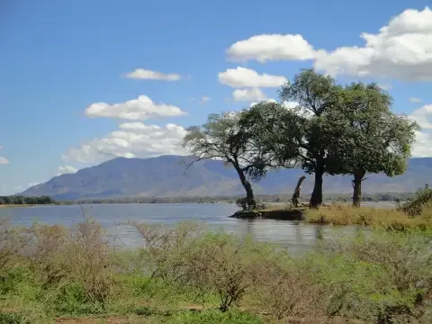 Zambezi river landscape