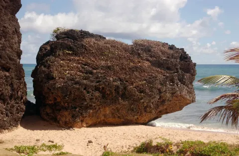 The undercut coral rock on the beach at Bathsheba on the Atlantic coast of Barbados.
