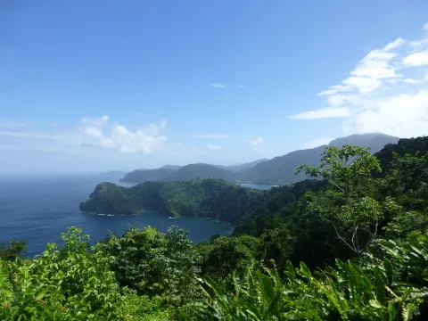 Forested headlands and bays along Trinidad's north coast seen from the Maracas lookout.