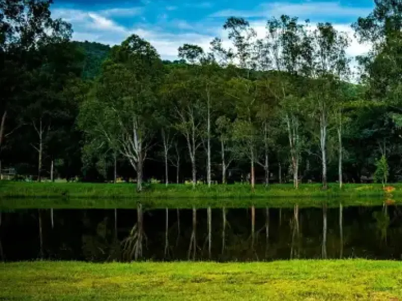 Barigui Park in Curitiba, Brazil