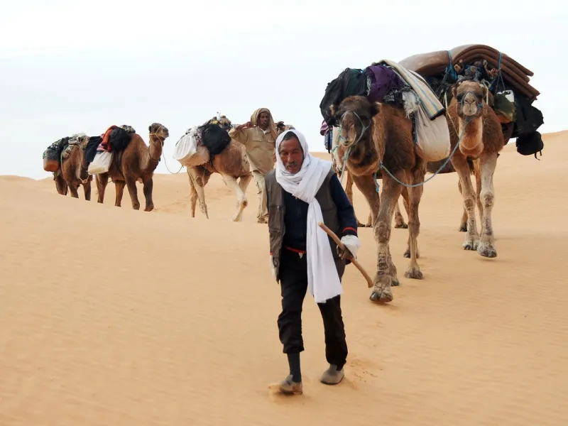 Sahara Desert near Douz, Tunisia