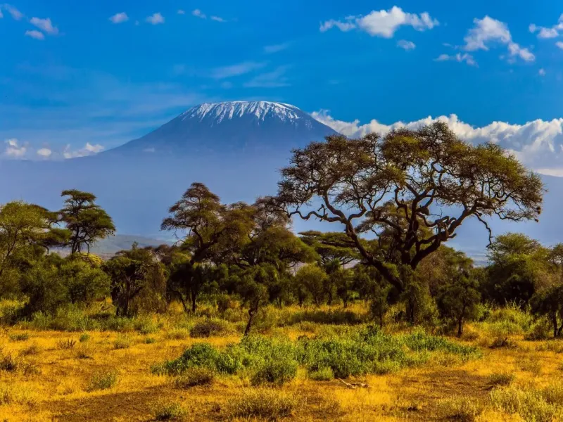 Amboseli is a biosphere reserve for a destination guide